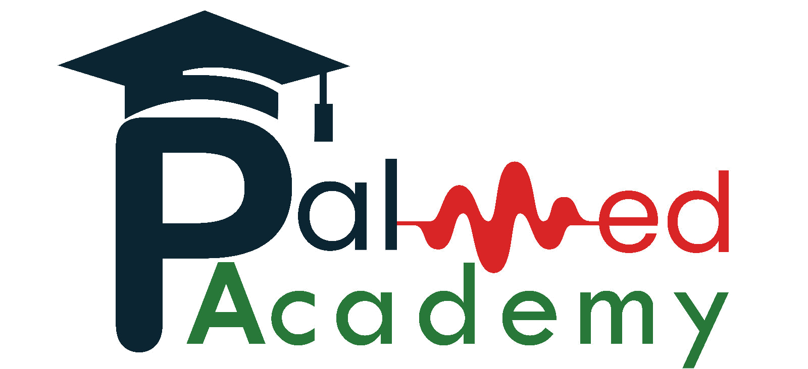 PalMed Academy